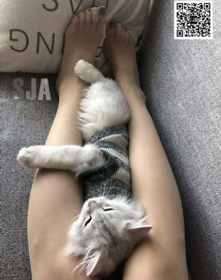 肉动漫在线