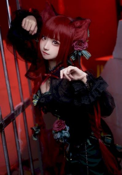 白莲花电视剧完整版免费