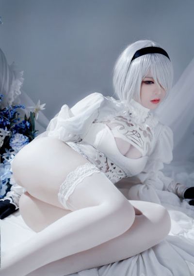 花蝴蝶免费版大全多少集